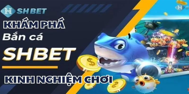 Tổng hợp các phần thưởng khi chơi bắn cá Shbet